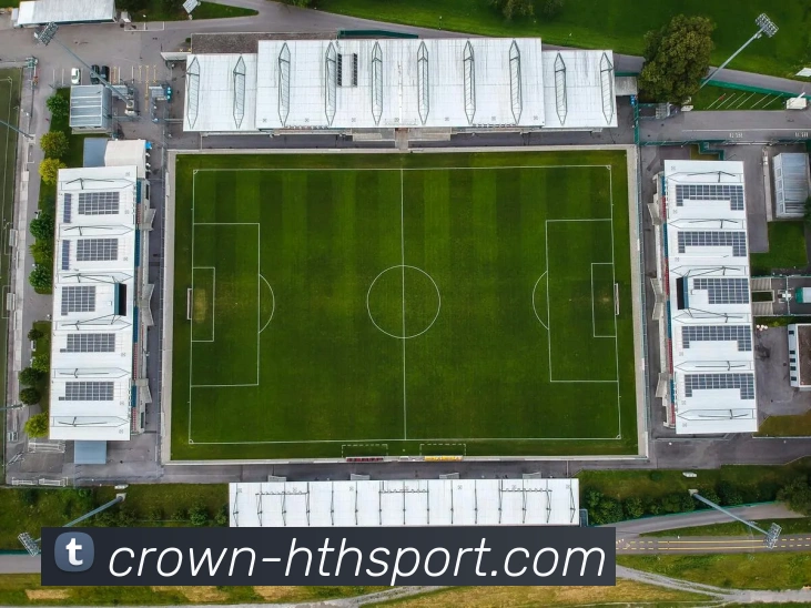 hth体育平台生态图