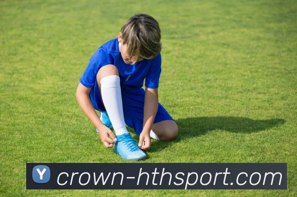 hth体育APP 封面图